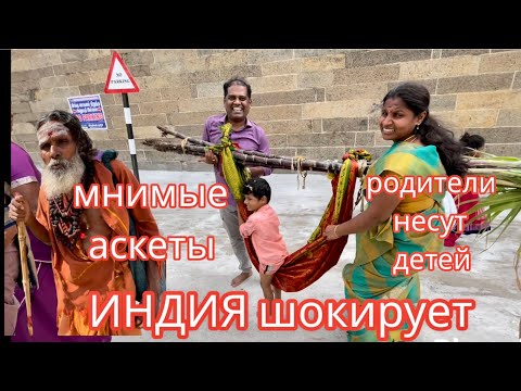 Видео: Умный в гору не пойдёт | плюющая святая | Моя Родина Земля