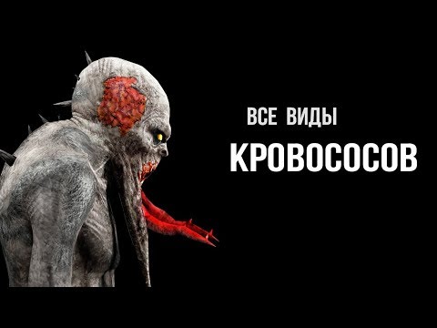 Видео: 5 видов Кровососов - STALKER