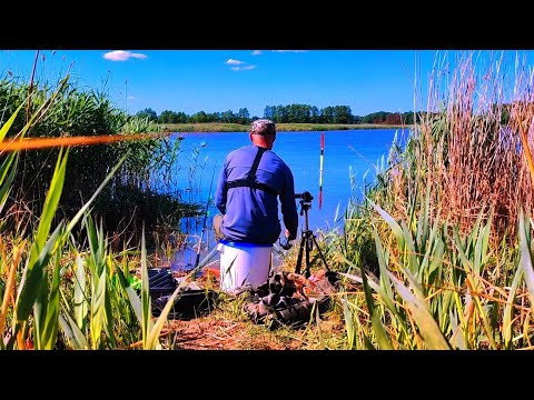 Видео: ЛОВЛЯ на ПОПЛАВОК!!!! Ещё один шикарный день на рыбалке!!!