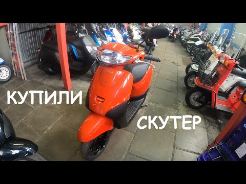 Видео: Покупаем скутер для дачи! Подбор Honda Tact AF75.