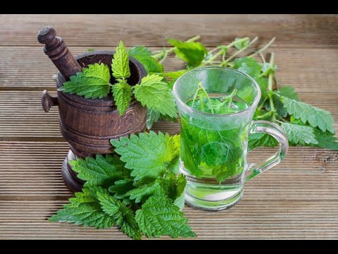 Видео: #13 Настойка "КРАПИВКА" или "МОХИТО по-русски" из листьев крапивы на самогоне