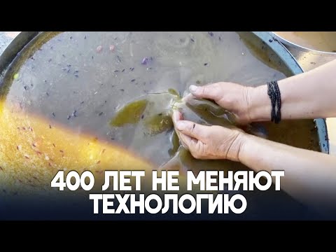 Видео: Как в турецкой деревне получают оливковое масло высшего качества