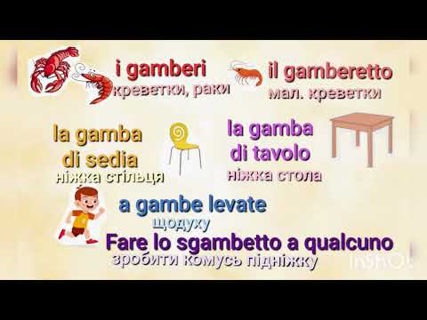 Видео: 6 листопада 2025 р.