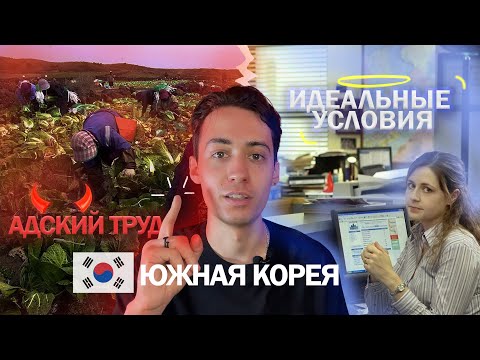 Видео: Работа в Корее. Где я работаю 1,5 года в Корее?