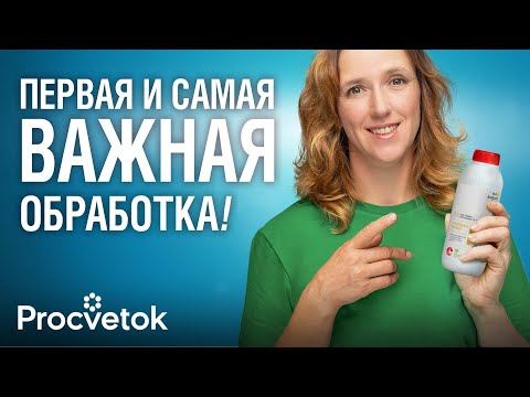 Видео: ГЛАВНАЯ ОБРАБОТКА САДА ВЕСНОЙ! Мощный удар от всех болезней и вредителей