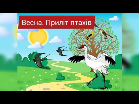 Видео: Заняття "Весна. Перелітні птахи"