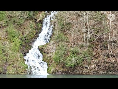 Видео: 🌲Закарпатські села. Водосховище. Гори та річки. Закарпатський діалект.🌲