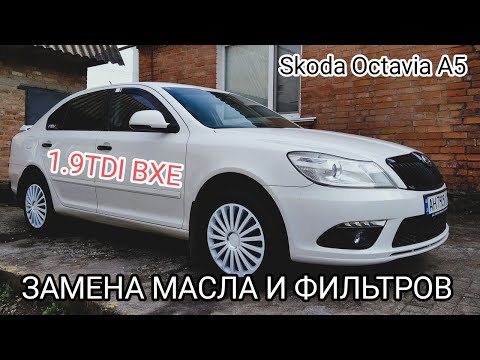 Видео: Замена масла, масленого и топливного фильтра на Skoda Octavia A5 1.9TDI PD (BXE)