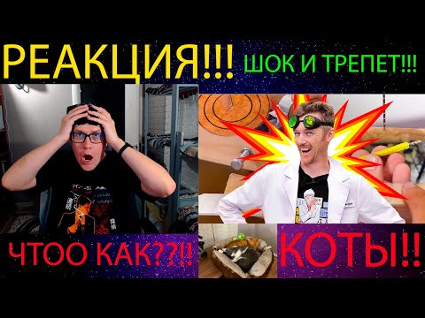 Видео: ПОПРОБУЙ УГАДАТЬ ДЛЯ ЧЕГО ЭТИ ЛАЙФХАКИ! РЕАКЦИЯ НА @doctordiy