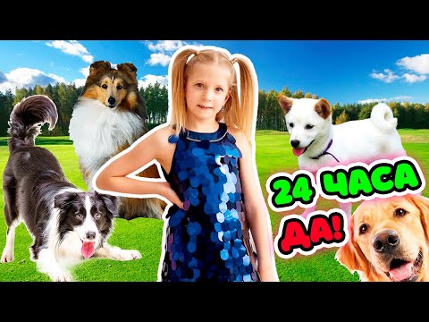 Видео: ДЕНЬ РОЖДЕНИЕ МИЛАНЫ! ЧТО ЗАДУМАЛА МИЛАНА 24 часа ДА! ОТКУДА СТОЛЬКО СОБАК!!