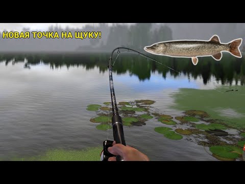 Видео: НОВАЯ ТОЧКА НА ЩУКУ! ТОЧКА С ОГРОМНЫМ ПОТЕНЦИАЛОМ!