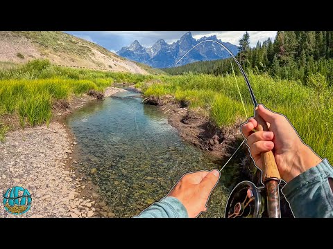 Видео: Нахлыстовая рыбалка в Вайоминге — 5 дней БЕЗУМНОЙ ловли форели!