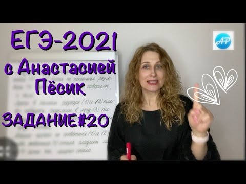 Видео: Задание 20. ЕГЭ по русскому языку