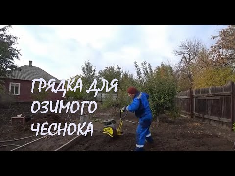 Видео: ОСЕННЯЯ ОБРЕЗКА НАШЕГО САДА Часть 2 Прокультивировали ЧЕСНОЧНУЮ ГРЯДКУ Обрезали ДЕРЕВЬЯ_29.10.2024