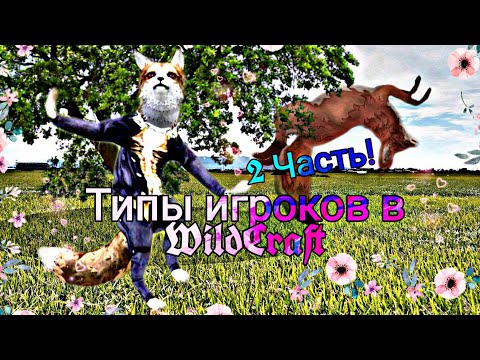 Видео: 😺Типы игроков в WildCraft😺Часть 2