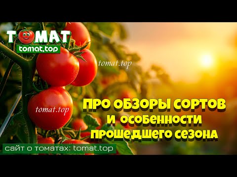 Видео: Про обзоры сортов и об особенностях прошедшего томатного сезона  Для лучшего взаимопонимания