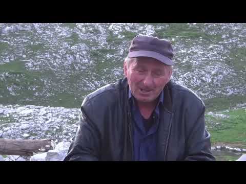 Видео: Скотоводство в Абхазии
