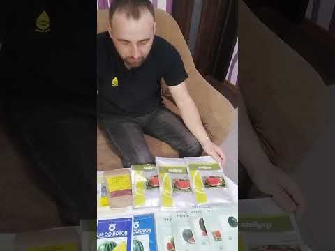 Видео: обзор гибридов арбуза 2023