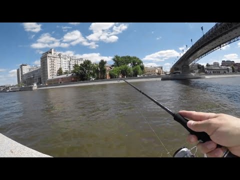 Видео: СПИННИНГ JS COMPANY BIXOD E2 VER.2 EGING 854ML ДО 30 Г (1,8-3,5 EGI) 2,56 М TRAVEL 2 ВЕРШИНКИ ТУБУС