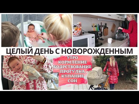 Видео: День с новорожденным ❤️ Реальные будни с утра и до ночи