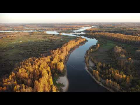 Видео: Борок. Осень в краю берёз...