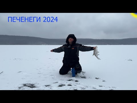 Видео: 🐟🐟 НЕ БЫЛ ЗДЕСЬ 2 ГОДА - ПРИШЕЛ и НАДУБАСИЛ! - ПЕЧЕНЕГИ 🐟🐟