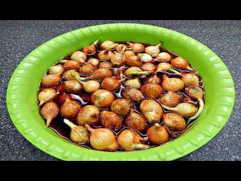 Видео: В ЧЕМ ЗАМОЧИТЬ ЛУК ПЕРЕД ПОСАДКОЙ, ЧТОБЫ ЗАЩИТИТЬ ОТ БОЛЕЗНЕЙ И ПОЛУЧИТЬ БОГАТЫЙ УРОЖАЙ