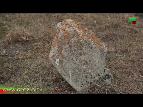 Видео: ОРСОЙ - ШИЙЛА МЕХАШ ХЬОЬКХУ МОХК