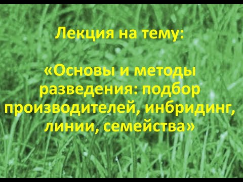 Видео: Лекция Швец И.Л. "Основы и методы разведения.." (2024)