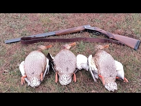 Видео: Охота на утку и куропатку