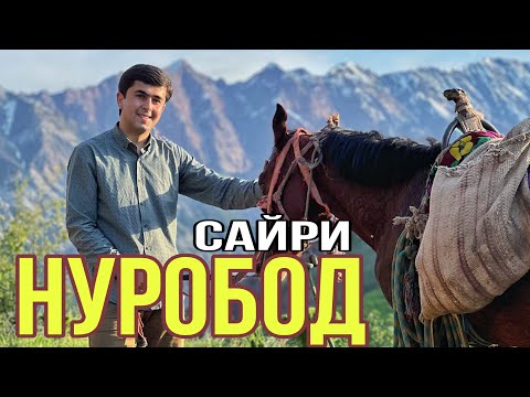 Видео: Нуробод!Влог!Сайри Нуробод!