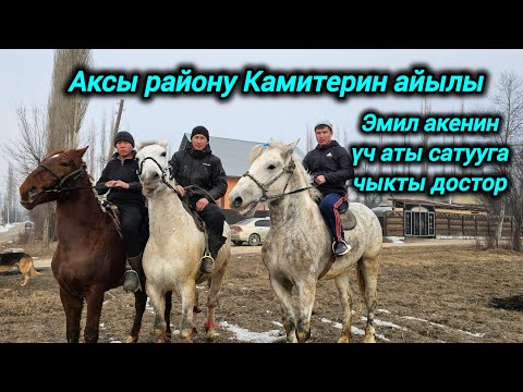 Видео: Аксы району Камитерин  айылы Эмил акенин ушул үч аты сатууга чыкты достор 🇰🇬💥💥💥
