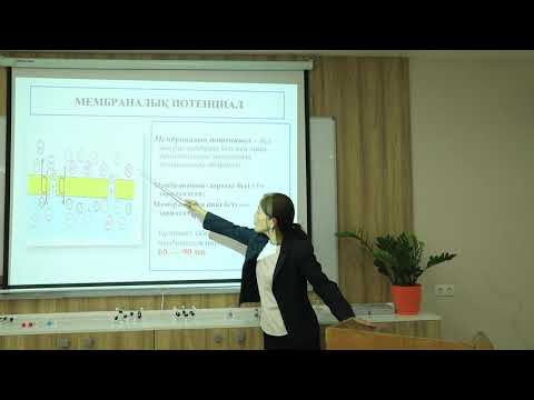 Видео: Ибадуллаева С.Ж. Қозғыш ұлпалар физиологиясы