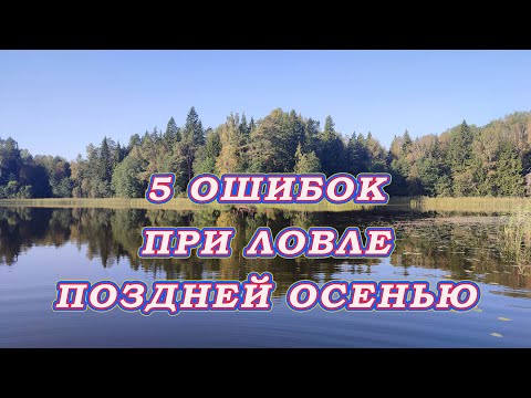 Видео: 5 ОШИБОК ПРИ ЛОВЛЕ щуки поздней осенью! Осенние проводки для щуки!