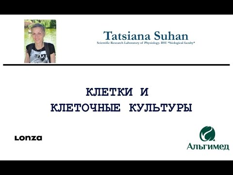 Видео: Татьяна Сухан и клеточное культивирование