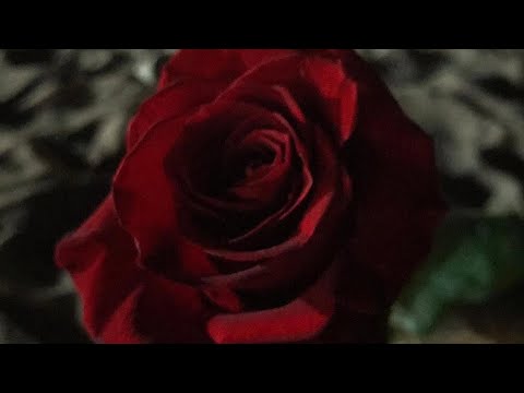 Видео: Вас предали и оставили!?🖤Как дальше жить, после предательства?Как отпустить и вернуться к жизни?❤️‍🔥