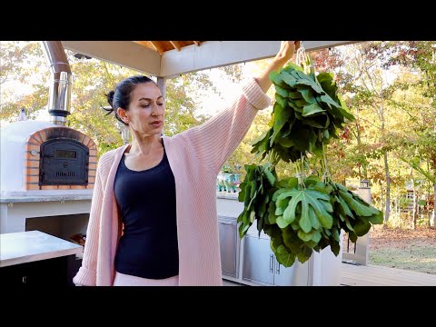 Видео: Готовим Сад К Зиме | Почему Собираю Листья Инжира | Семейный Влог | Эгине | Heghineh