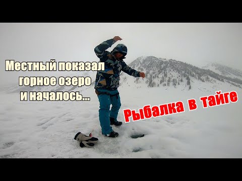 Видео: Местный показал горное озеро, а в нем полно рыбы/Ночлег в таежной избе/Рыбалка на хариуса в тайге