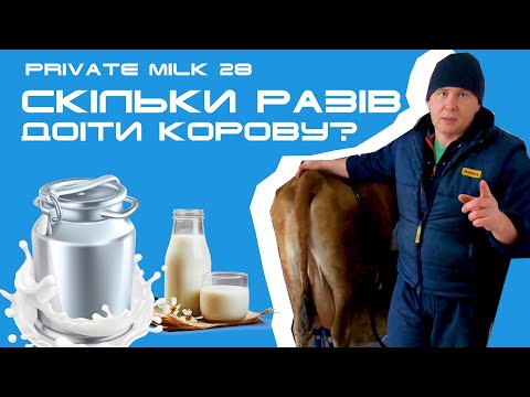 Видео: Скільки разів потрібно доїти корову? | Private Milk | Травецький