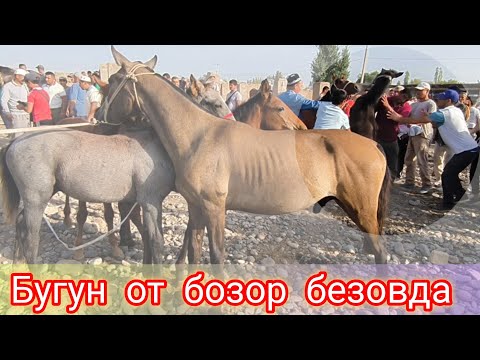 Видео: ЯХШИСИ У́ЗИНГИЗ КУРИНГ САРИОСИЁ ОТ БОЗОРИ БАКИР-ЧАКИР САВДОЛАР