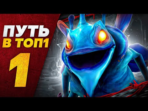 Видео: ПУТЬ В ТОП 1 — НАЧАЛО 🥇