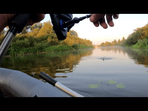 Видео: Сплав по реке. Ночевка. Щука и окунь на спиннинг. Новая лодка