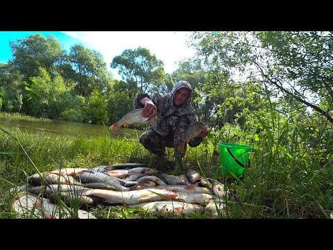 Видео: САДОК ТРЕЩАЛ ПО ШВАМ ОТ ЭТИХ РЫБИН! СУПЕР УДАЧНАЯ РЫБАЛКА, это вам не РЫБАЛКА на ПАУК ПОДЪЁМНИК!