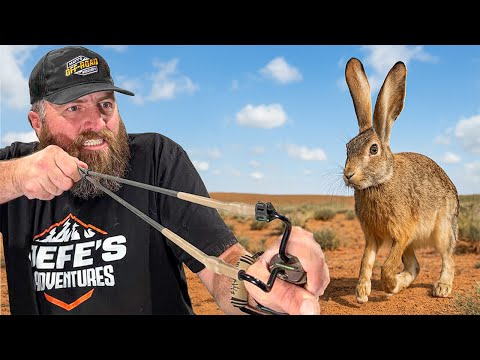 Видео: Охота на диких кроликов с рогаткой