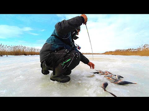 Видео: ЗАЧЕМ ЭТИ ЖЕРЛИЦЫ С ТАКИМИ ОКУНЯМИ ВОТ ЭТО ЗАКРЫЛИ СЕЗОН!!!