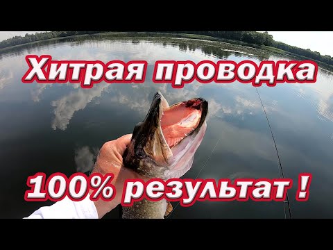 Видео: Хитрая проводка Даёт 100% РЕЗУЛЬТАТ В Жару по Щуке!!! Вы НЕ ПОЖАЛЕЕТЕ испытав этот метод! Рыбалка