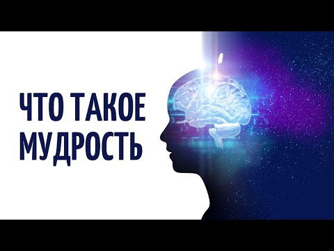 Видео: Что такое мудрость и как её приобрести