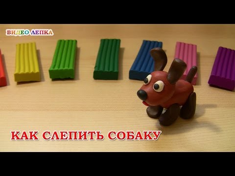 Видео: СОБАКА - Лепим из пластилина с Видео Лепка