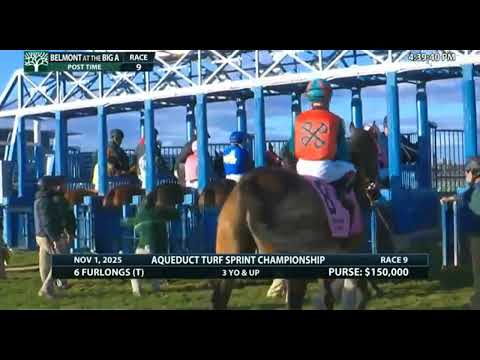 Видео: Гонка 9, Белмонт, Большой А (1 ноября 2025 г.)