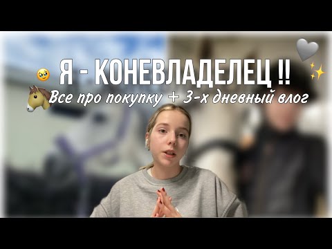 Видео: Как Я стала КОНЕВЛАДЕЛЬЦЕМ: история покупки + влог 🫶🏻🐴